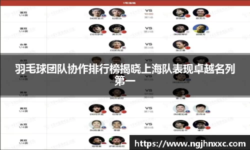 羽毛球团队协作排行榜揭晓上海队表现卓越名列第一